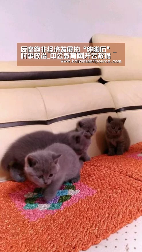 反腐绝非经济发展的“绊脚石”_时事政治_中公教育网|开云数据(图3) 开云数据
