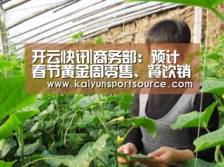 开云快讯|商务部:预计春节黄金周零售、餐饮销售额达9000亿以上(图2) 开云体验