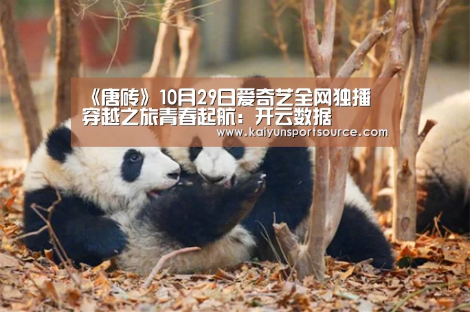 开云快讯