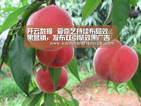 开云体验