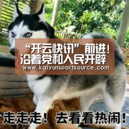 “开云快讯”前进!沿着党和人民开辟的正确道路_时事政治_中公教育网(图3) 开云官网
