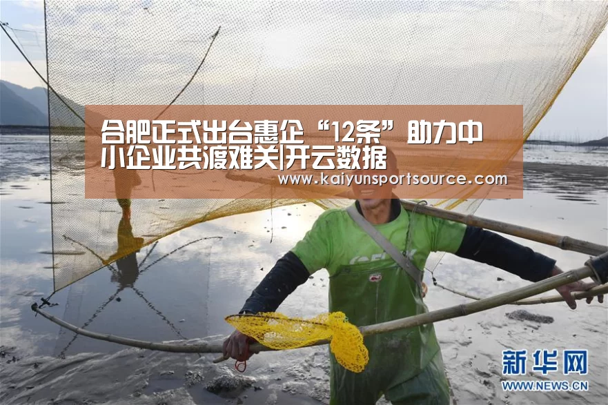 合肥正式出台惠企“12条”助力中小企业共渡难关|开云数据(图1) 开云官网