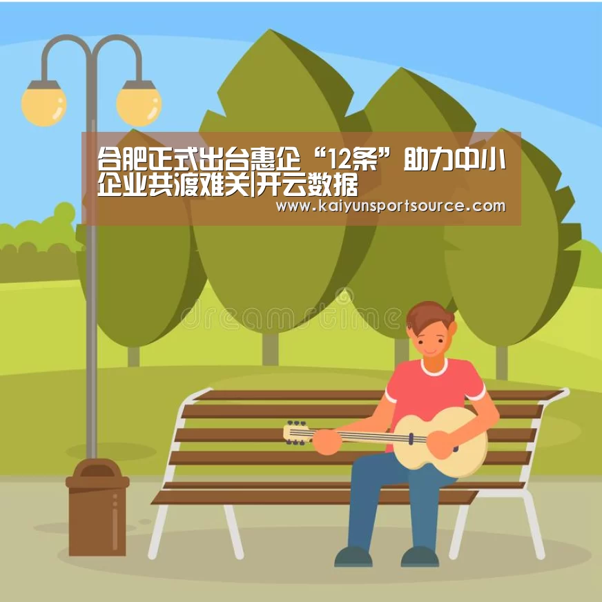 合肥正式出台惠企“12条”助力中小企业共渡难关|开云数据(图2) 开云快讯