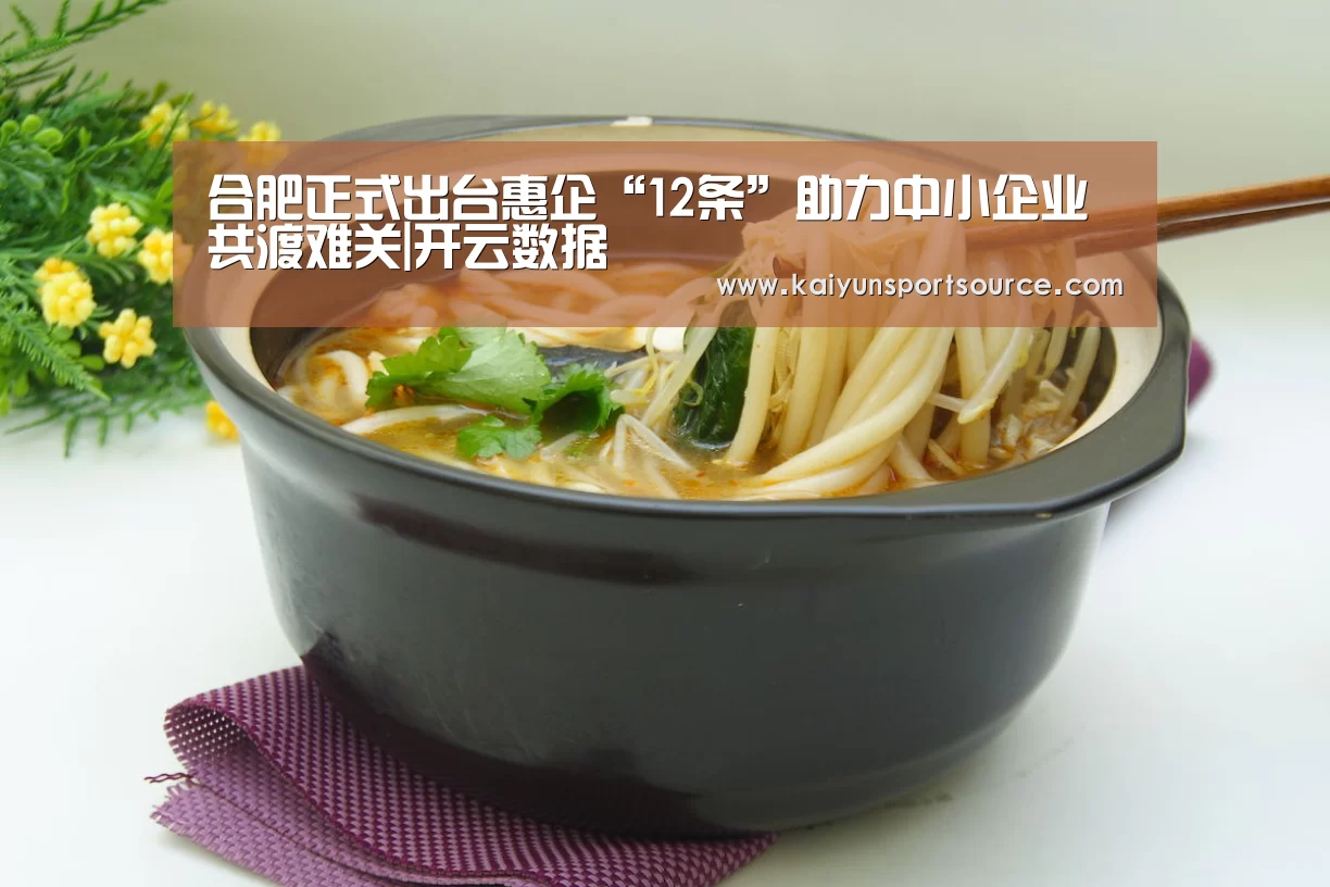 合肥正式出台惠企“12条”助力中小企业共渡难关|开云数据(图4) 开云体验
