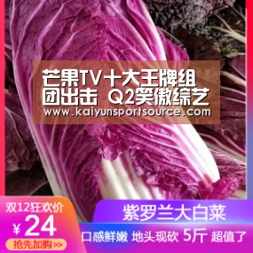 芒果TV十大王牌组团出击 Q2笑傲综艺江湖‘开云官网’(图3) 开云官网