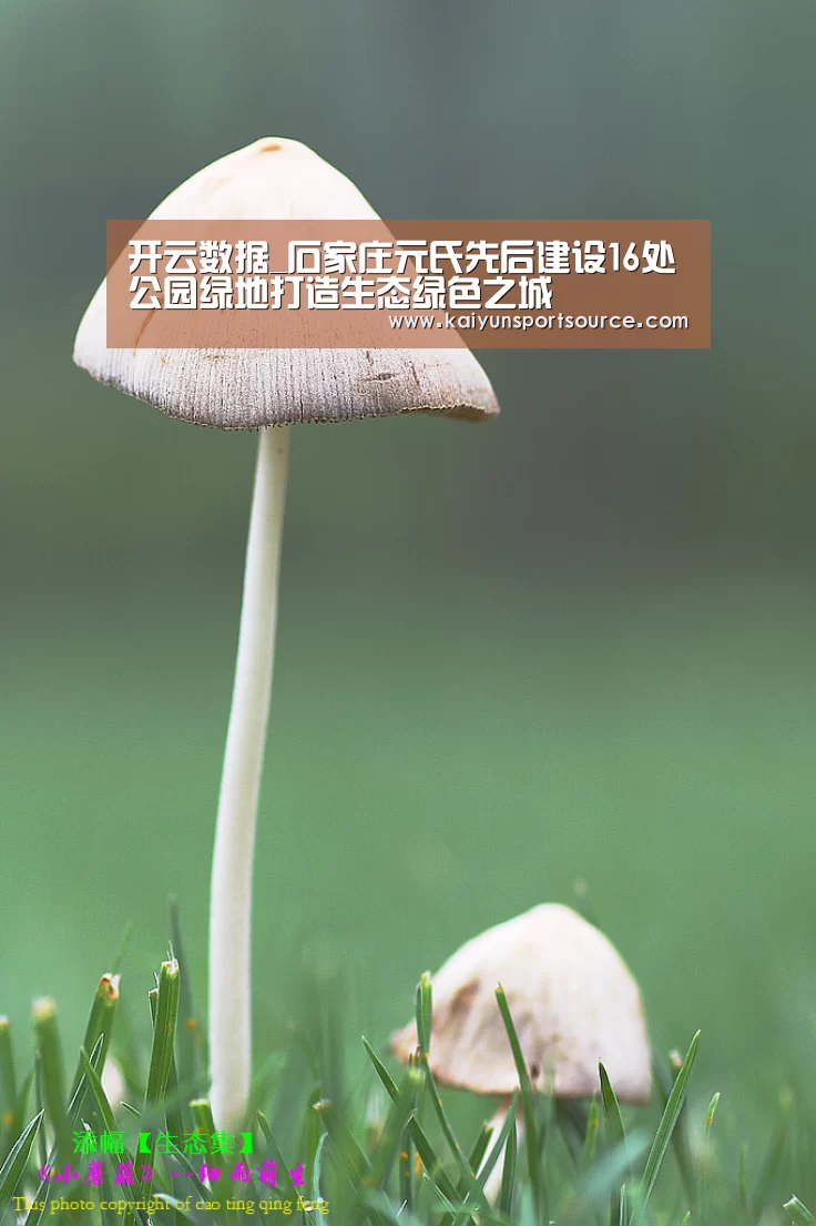 开云数据_石家庄元氏先后建设16处公园绿地打造生态绿色之城(图1) 开云数据