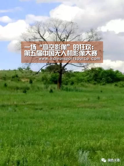 开云快讯