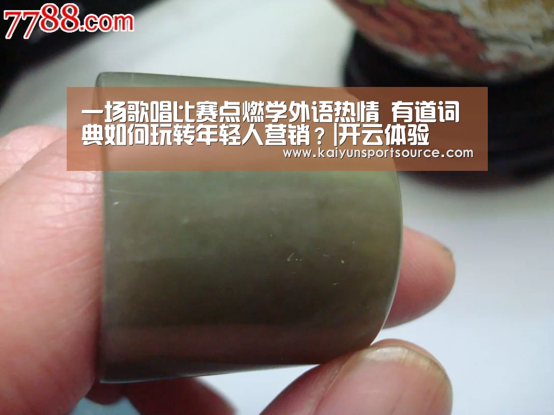 一场歌唱比赛点燃学外语热情 有道词典如何玩转年轻人营销?|开云体验(图3) 开云数据