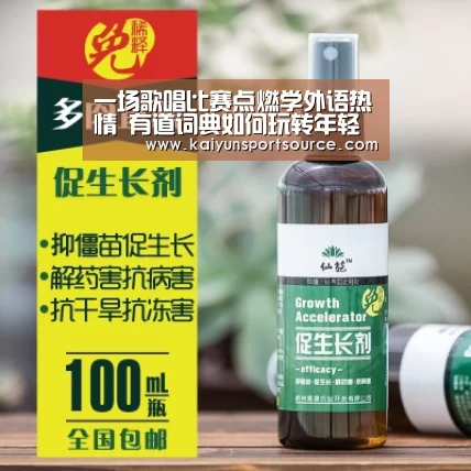 一场歌唱比赛点燃学外语热情 有道词典如何玩转年轻人营销?|开云体验(图2) 开云官网